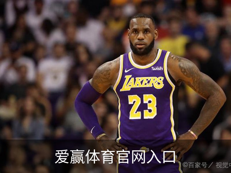 爱赢体育官网入口简介