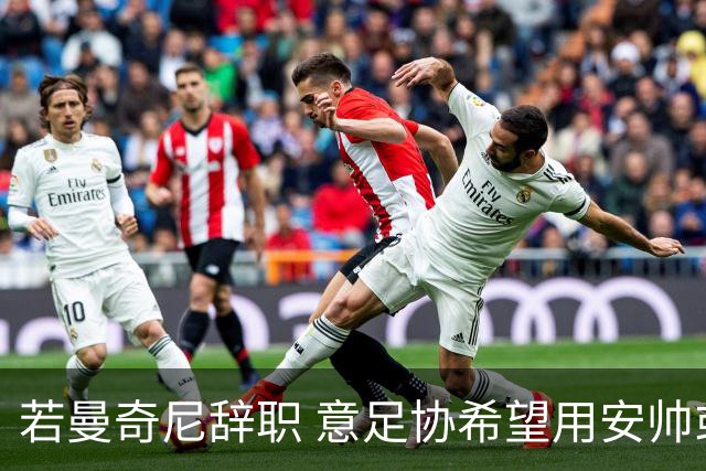 若曼奇尼辞职 意足协希望用安帅或卡纳瓦罗替代